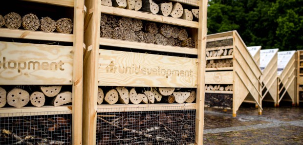 Polscy deweloperzy z rekordem Guinnessa