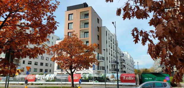 Dzień otwarty na osiedlu Latte 4.02