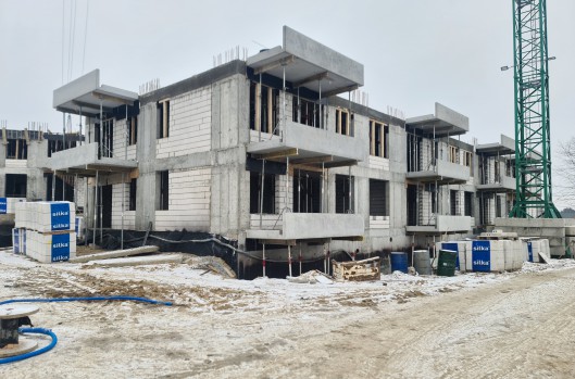 Idea Leo - postęp prac