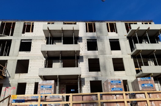 Idea Leo - postęp prac