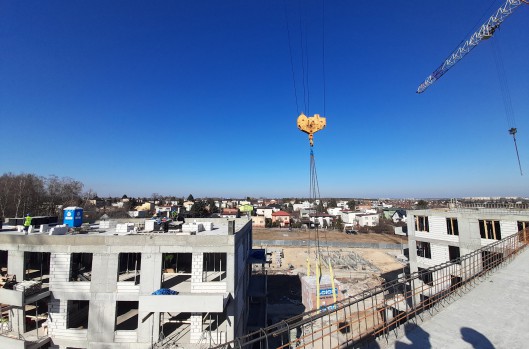 Idea Leo - postęp prac