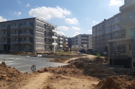 Idea Leo - postęp prac