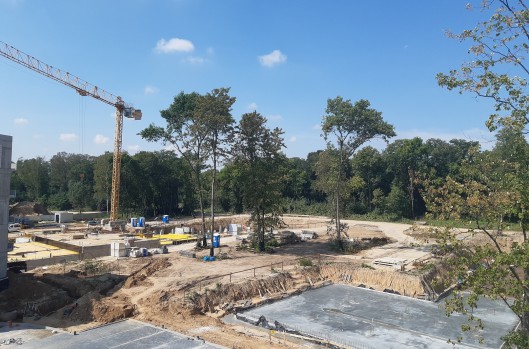 Idea Venus - postęp prac