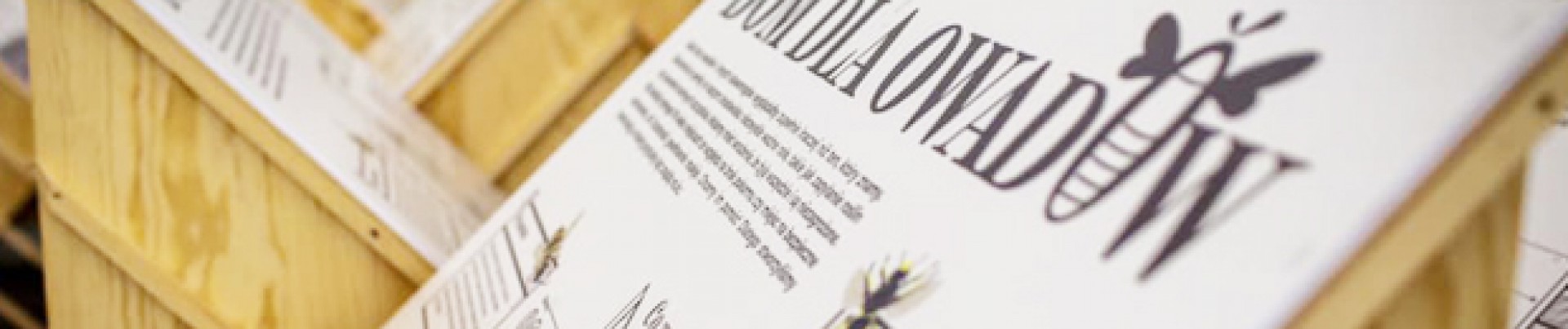 Budujemy również dla… owadów