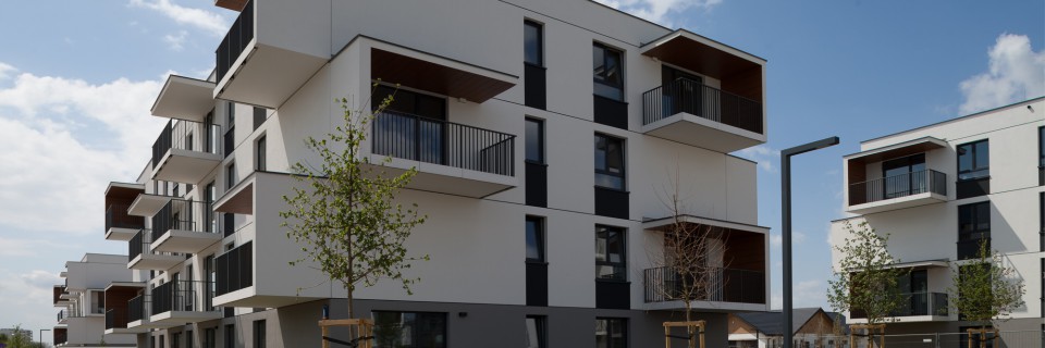 Zdjęcia Osiedla Coopera 2022