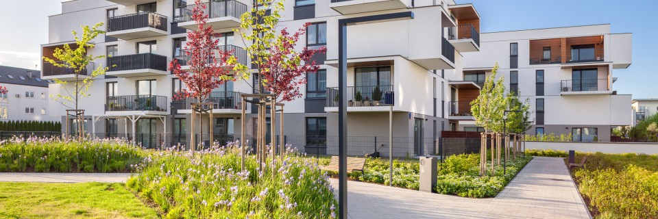 Zdjęcia Osiedla Coopera 2022