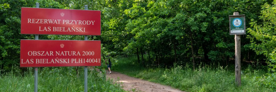 Las Bielański: Rezerwat Przyrody