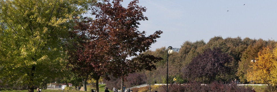 Zdjęcia Targówka 8